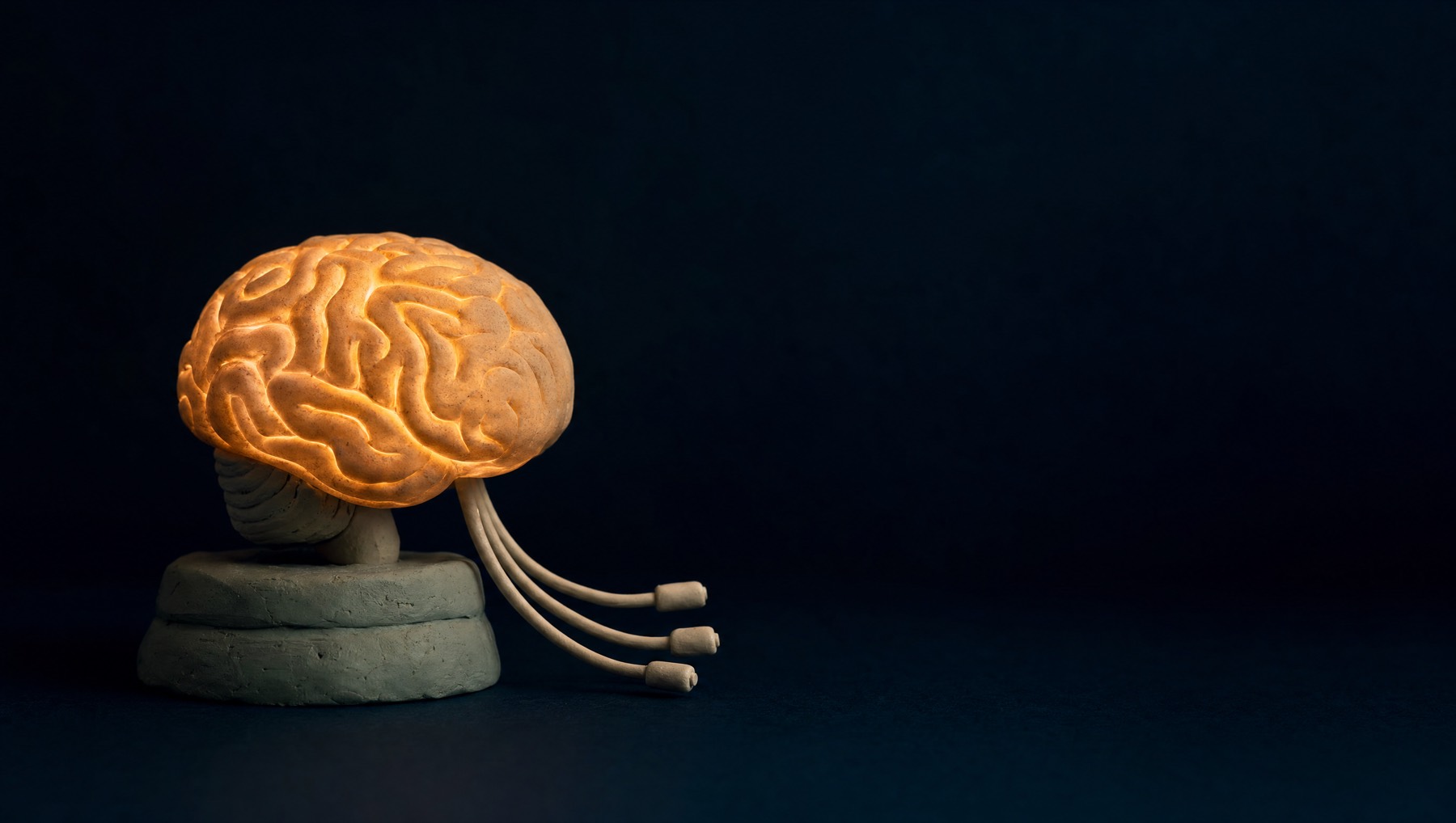 A glowing ochre clay brain on a marine plinth, three cables running out of it - the three layers of the Brain.